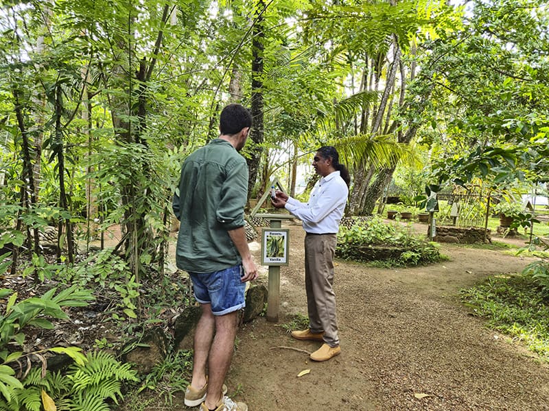 jardin especias sri lanka yo