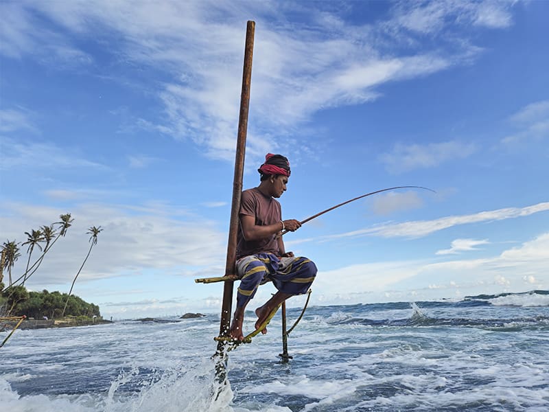 pescador zancudo sri lanka