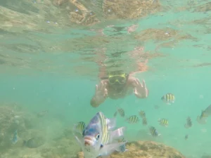 yo peces esnorquel sur de sri lanka