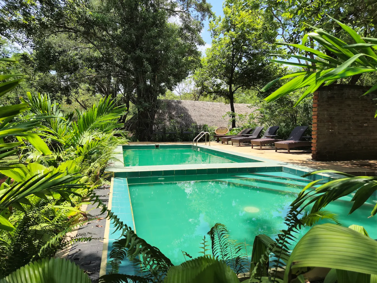 parque nacional kaudulla mi hotel habarana piscina