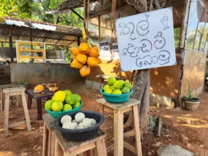 idiomas en sri lanka cartel cingales fruta