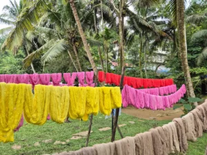 fase secado textiles tendidos en taller artesanal Sri Lanka