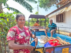 gente de sri lanka trabajadores plantacion