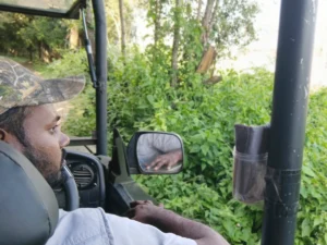 guia local safari en wilpattu