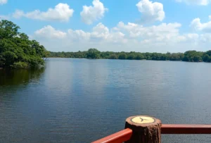 laguna en Wilpattu