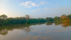 paisaje amanecer safari en wilpattu
