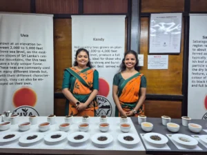 ceylon tea museum en kandy chicas degustacion