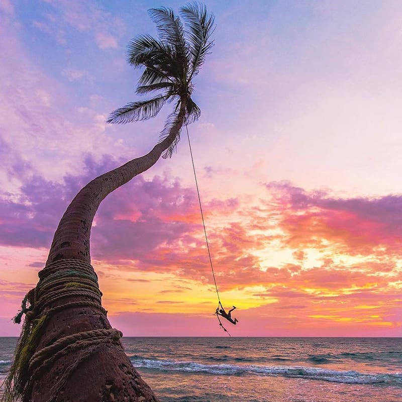 mejores playas sri lanka palm swing dalawella