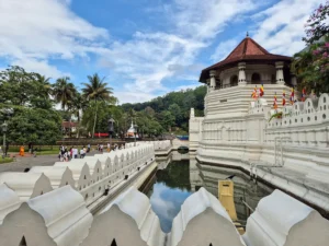 que hacer hotel avenue lake kandy sri dalada waligama