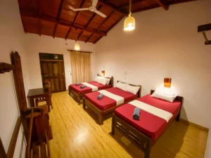 oasis bay hoteles en arugam bay sri lanka
