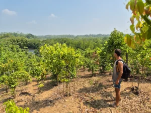 se puede viajar a sri lanka ahora yo en plantacion de canela