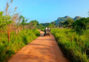 paisaje hurulu eco park sri lanka safari desde sigiriya