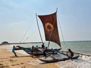 que ver en negombo 1 dia pescadores catamaran