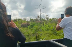 safari desde sigiriya hurulu eco park