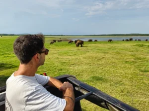 safari en kaudulla desde sigiriya yo
