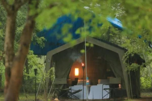 big game alojamiento glamping wilpattu