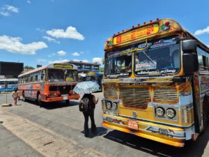 como llegar a udawalawe bus
