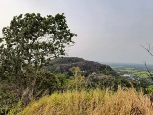 vista dambulla rock y paisaje desde la cima de dahaya kanda