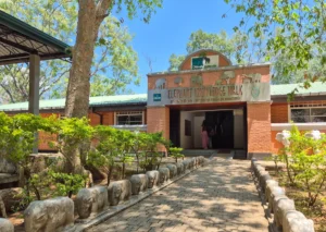 entrada museo en udawalawe elephant transit home