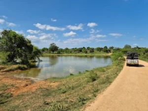 paisaje laguna jeep parque nacional udawalawe sri lanka