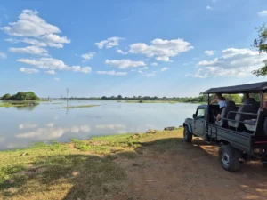 paisaje laguna jeep udawalawe
