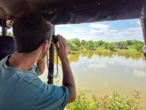 yo contemplando elefante safari en udawalawe national park