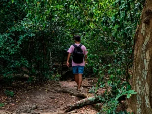 yo en namal uyana dambulla sri lanka