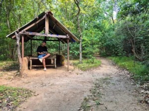bosque y camino en pophams paretum y yo leyendo libro de especies