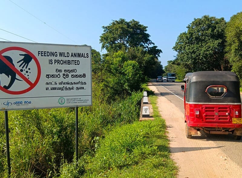 como ir de negombo a sigiriya